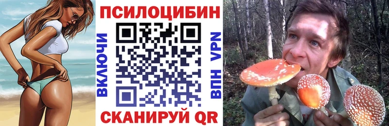 где можно купить   Слюдянка  Галлюциногенные грибы ЛСД 